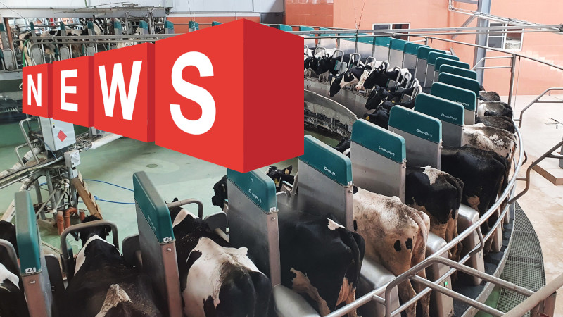 Новости в сфере молочного животноводства
