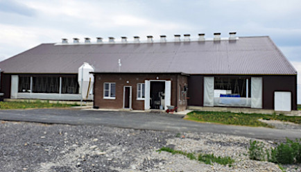 Семейная молочная ферма на 80 голов Абинск