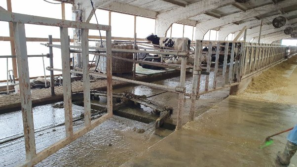 Молочная ферма в Тихорецке 6