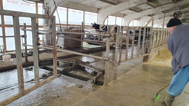Молочная ферма в Тихорецке 7