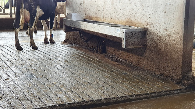 Поилки для коров водопоение на молочной ферме 4