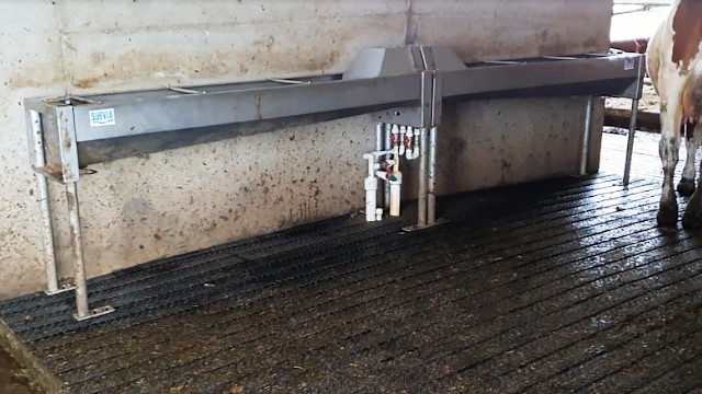 Поилки для коров водопоение на молочной ферме 5